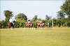 UKPA NC SAT_2136